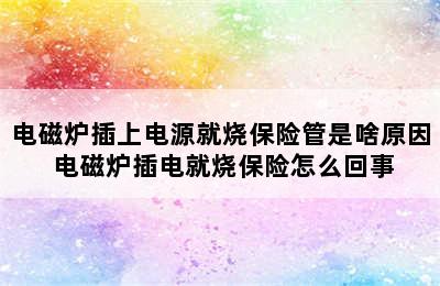 电磁炉插上电源就烧保险管是啥原因 电磁炉插电就烧保险怎么回事